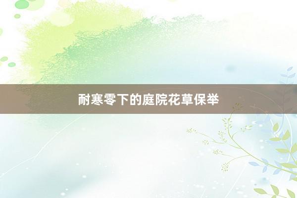 耐寒零下的庭院花草保举