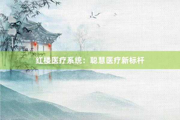 红楼医疗系统：聪慧医疗新标杆